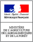 Logo Patrimoine alimentaire