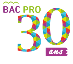 Logo Les 30 ans du Bac Pro dans l'académie de Versailles