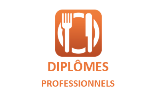 Logo Les diplômes professionnels
