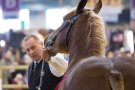 Caroline Pichery Salon Agriculture 2016 Animaux 10