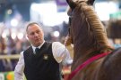 Caroline Pichery Salon Agriculture 2016 Animaux 12