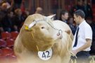 Caroline Pichery Salon Agriculture 2016 Animaux 20