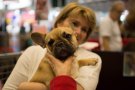 Caroline Pichery Salon Agriculture 2016 Animaux 22