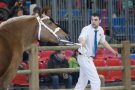 Caroline Pichery Salon Agriculture 2016 Animaux 8