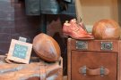 Caroline Pichery Salon de l Agriculture 2016 26