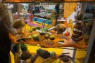 Caroline Pichery Salon de l Agriculture 2016 51