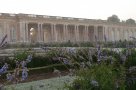 30 ans Bac Pro Versailles A Petit Perrin 6