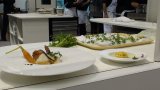 SIA 2016 S Raynaud 10