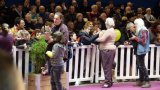 SIA 2018 3