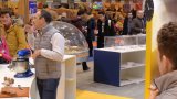 SIA 2018 42