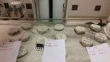 Trophees Boulanger Patissier Quercy Perigord 101