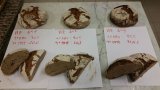 Trophees Boulanger Patissier Quercy Perigord 110