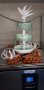 Trophees Boulanger Patissier 2020 Blois 1