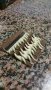 Trophees Boulanger Patissier Quercy Perigord 53