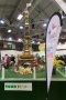Caroline Pichery Salon de l Agriculture 2016 114