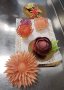 Trophees Boulanger Patissier Quercy Perigord 154