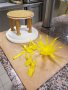 Trophees Boulanger Patissier Quercy Perigord 58