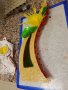 Trophees Boulanger Patissier Quercy Perigord 64
